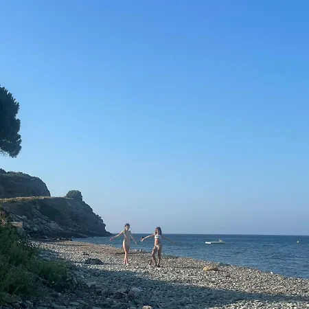 T2 4* 브란도