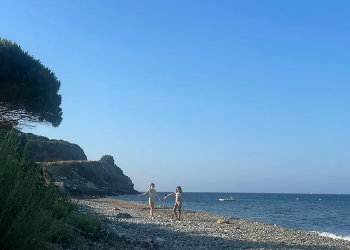 T2 4* 브란도